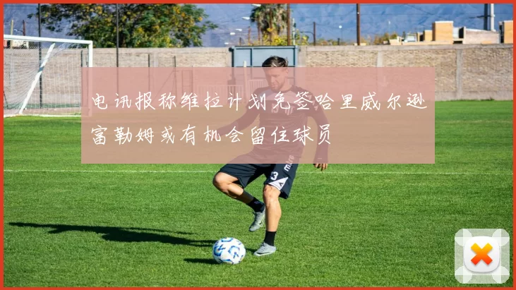 电讯报称维拉计划免签哈里威尔逊富勒姆或有机会留住球员